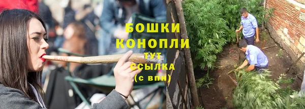 МДПВ Елабуга
